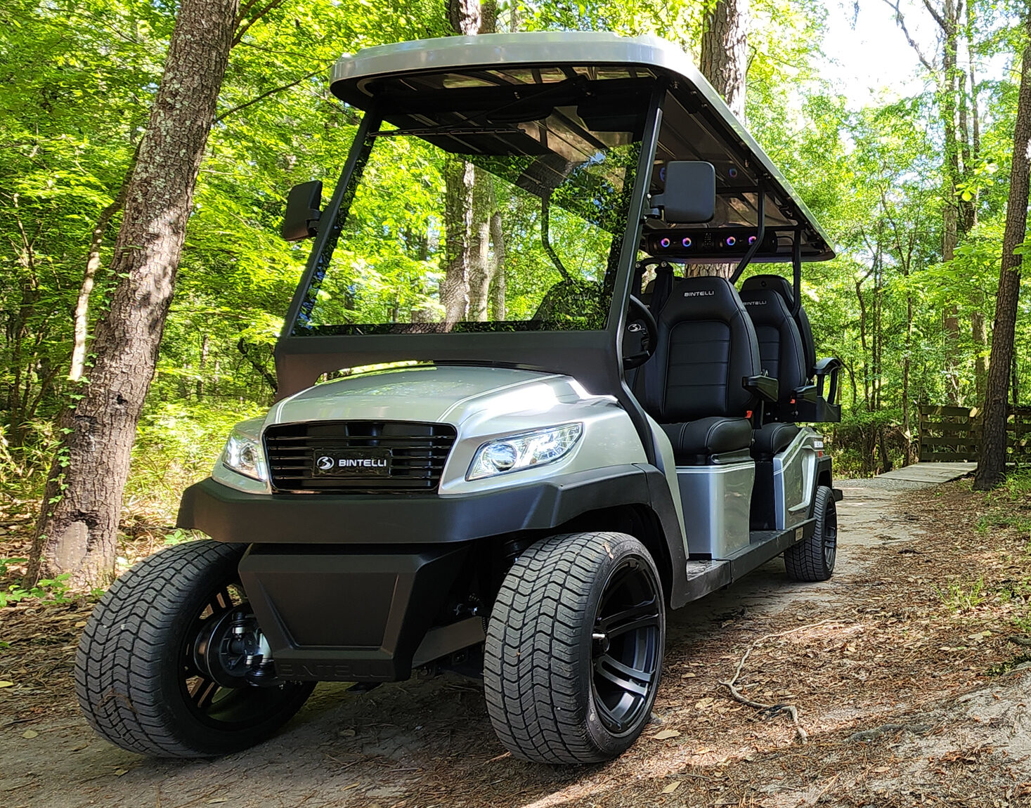 Golf cart rentals